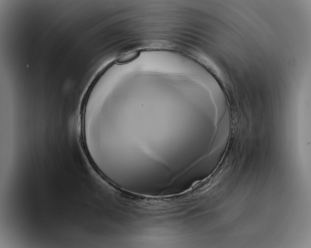 X0000094221095200711161844