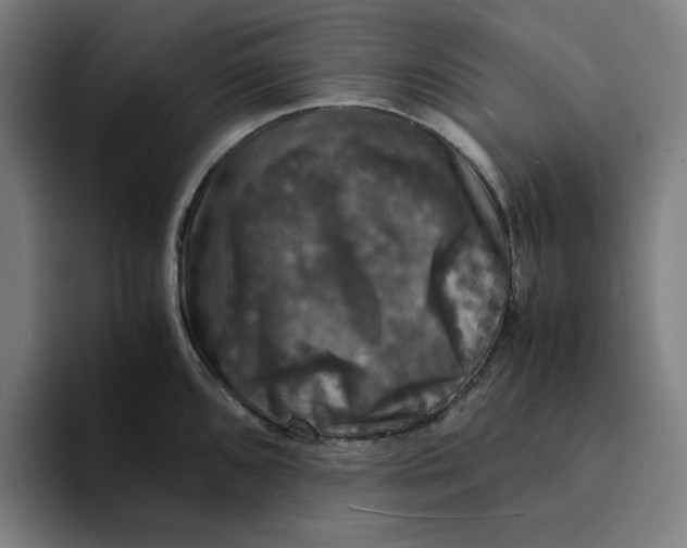 X0000094221096200711161844