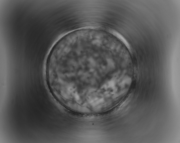 X0000094221099200711161844