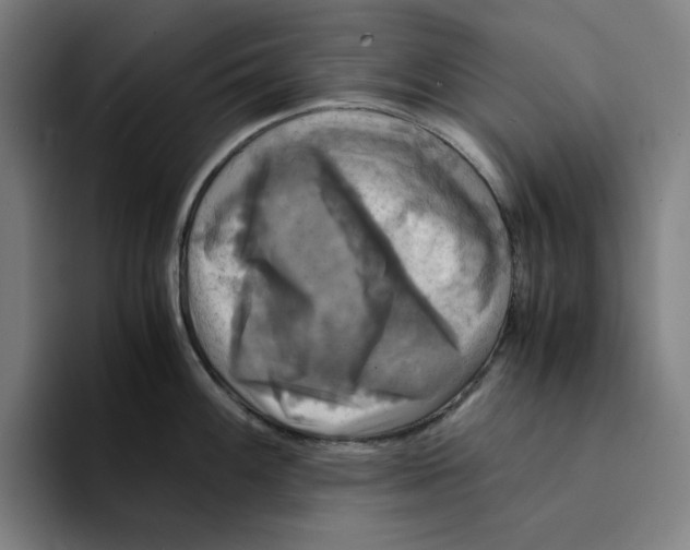 X0000094221100200711161844