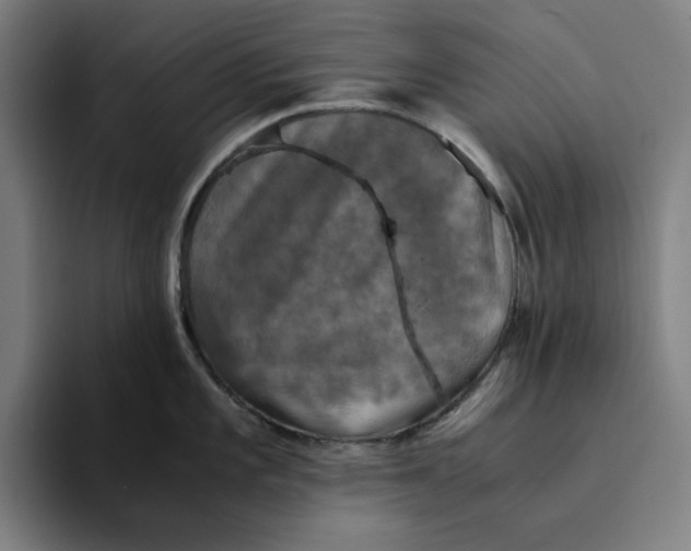 X0000094221101200711161844