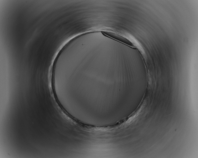 X0000094221102200711161844