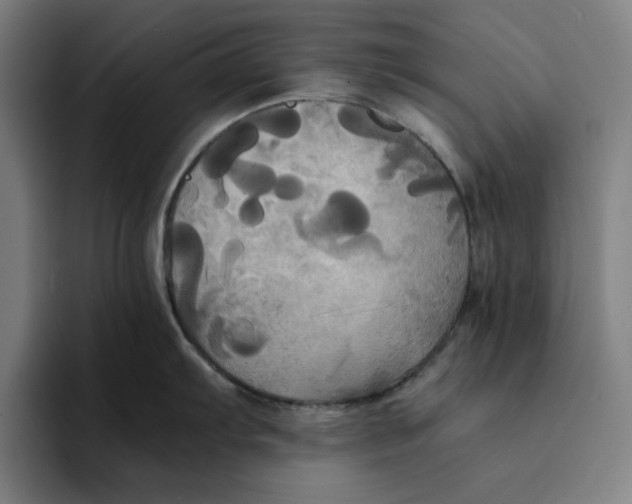 X0000094221103200711161844