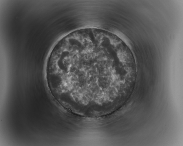 X0000094221104200711161844