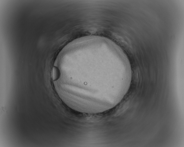 X0000094221105200711161843