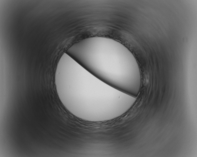 X0000094221108200711161843