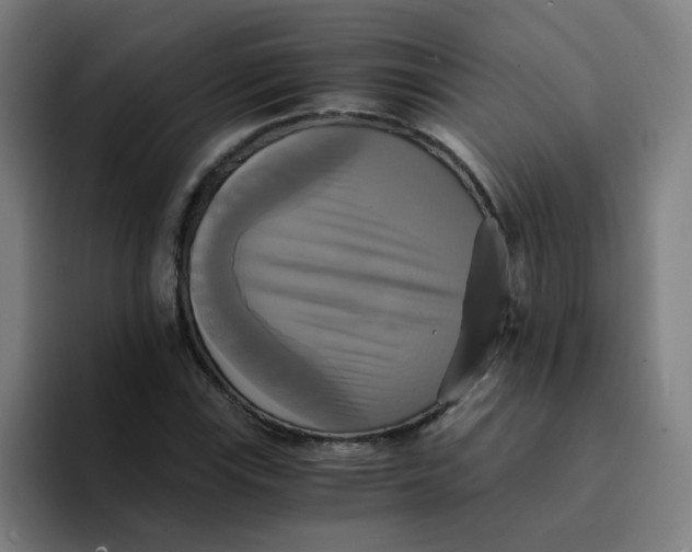 X0000094221115200711161843