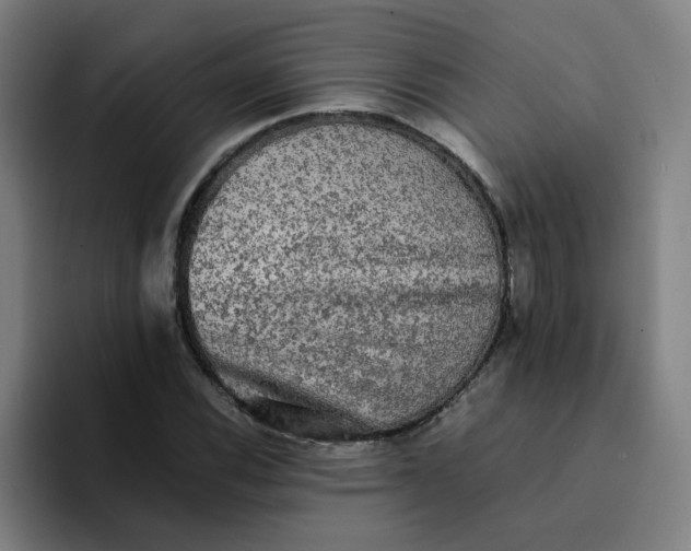 X0000094221116200711161843