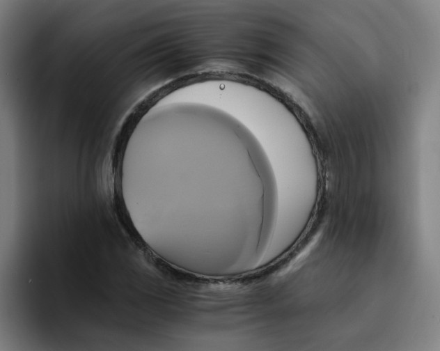 X0000094221117200711161843