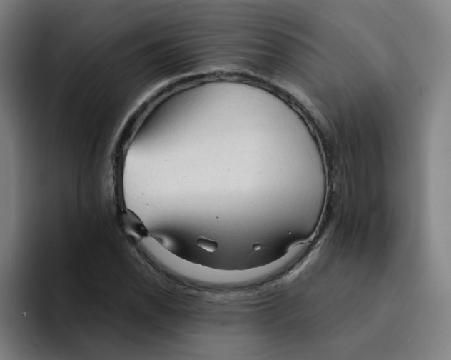 X0000094221118200711161843