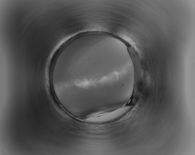 X0000094221120200711161843