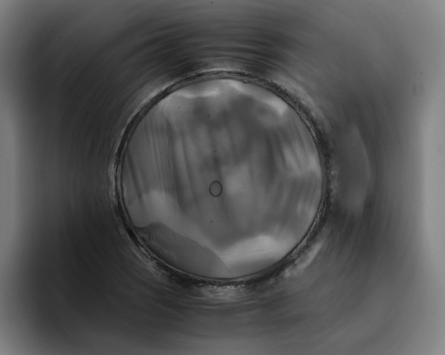 X0000094221121200711161843