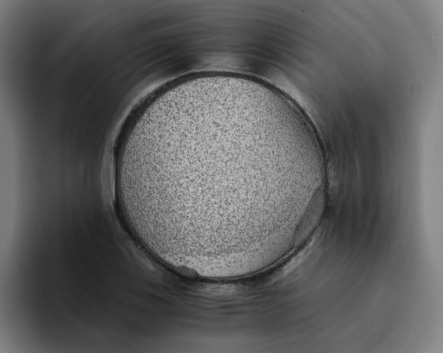 X0000094221123200711161843