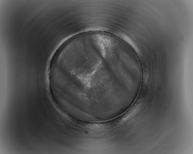 X0000094221124200711161843