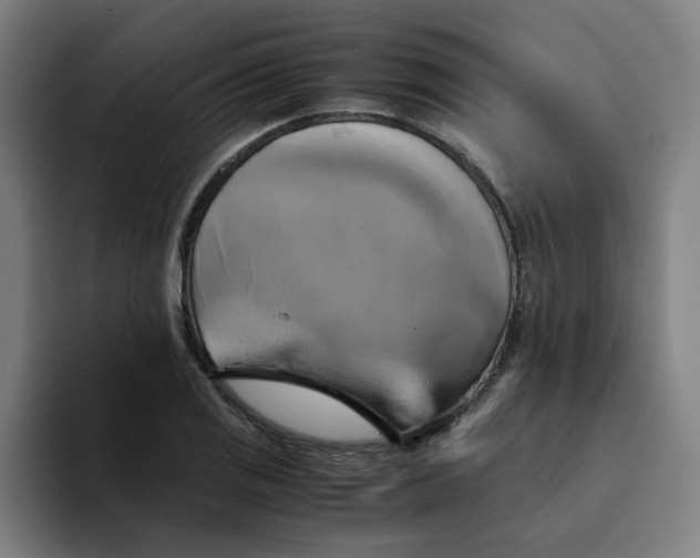 X0000094221125200711161843