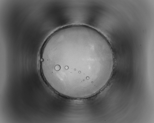 X0000094221126200711161843