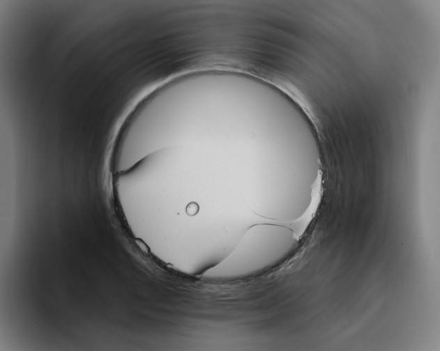 X0000094221128200711161843