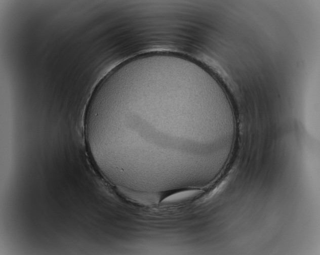 X0000094221129200711161843