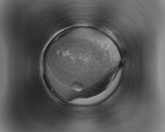 X0000094221132200711161843