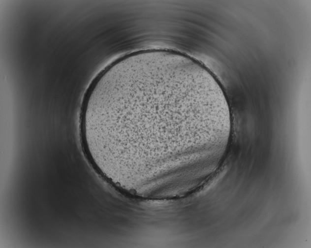 X0000094221134200711161843