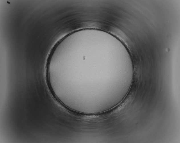 X0000094221135200711161843