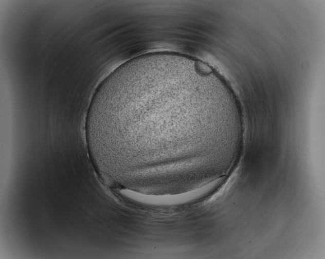 X0000094221137200711161843