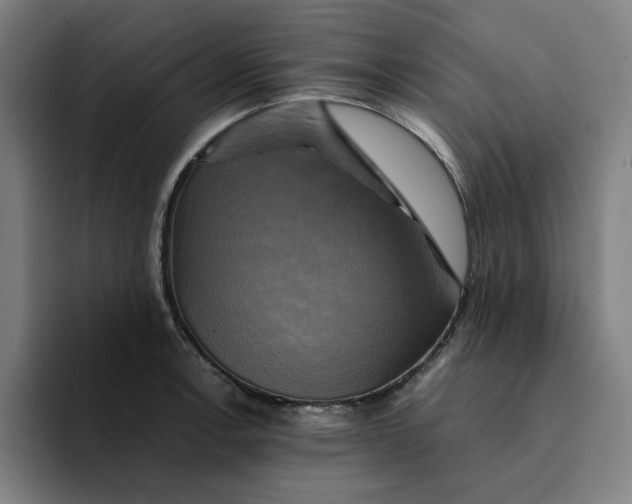 X0000094221138200711161843