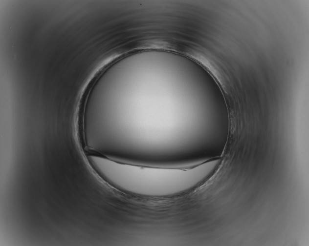 X0000094221139200711161843