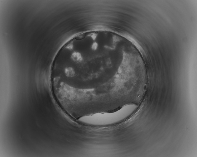 X0000094221142200711161844