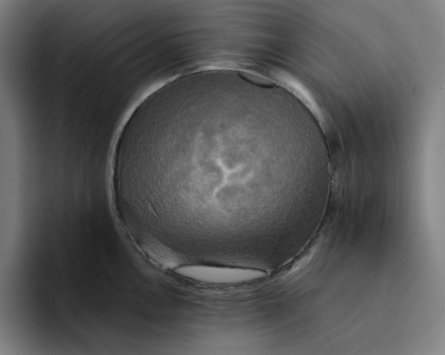 X0000094221146200711161844