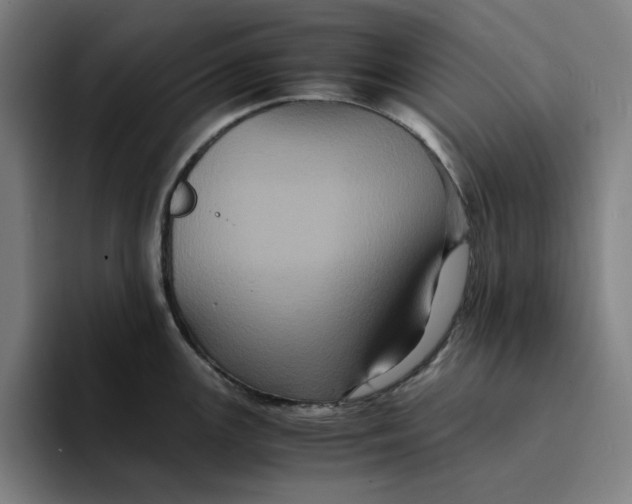 X0000094221147200711161844