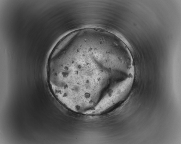 X0000094221148200711161844