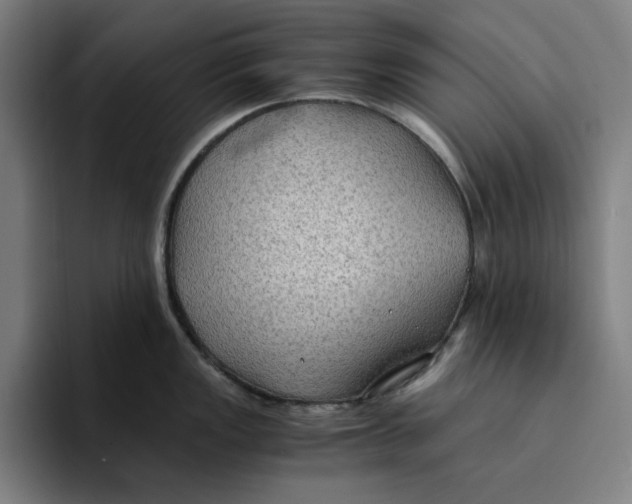 X0000094221149200711161844