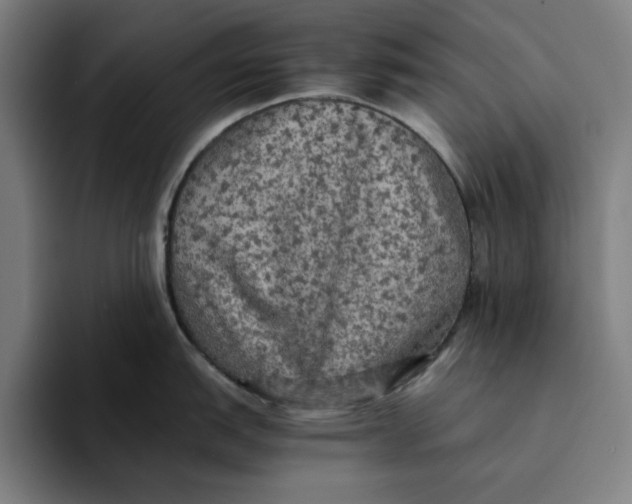 X0000094221151200711161844