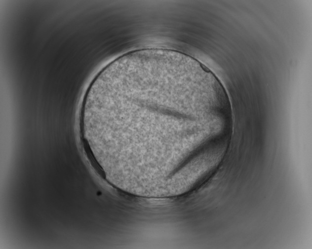 X0000094221152200711161844