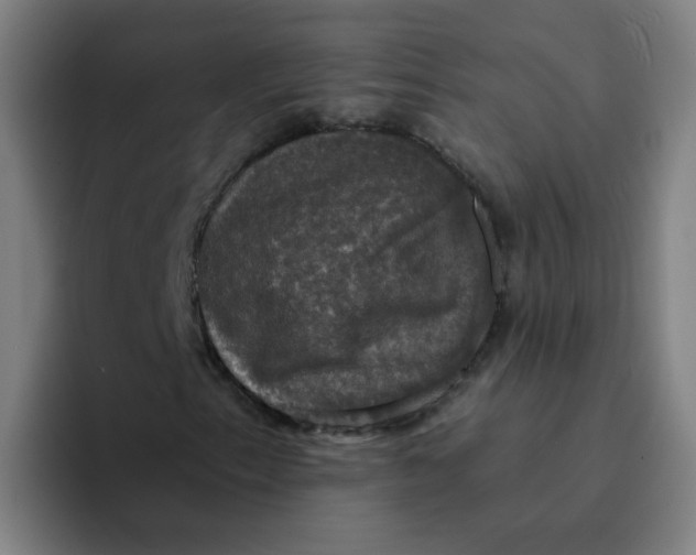 X0000094221153200711161843