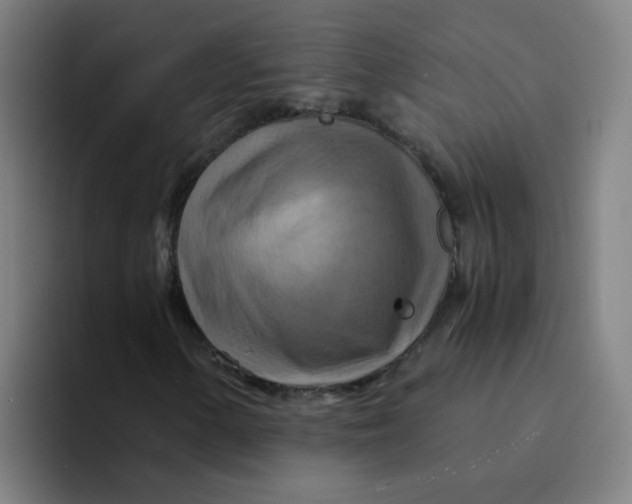 X0000094221154200711161843