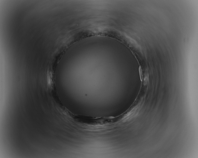 X0000094221156200711161843