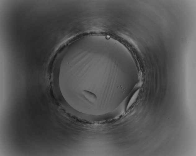 X0000094221160200711161843