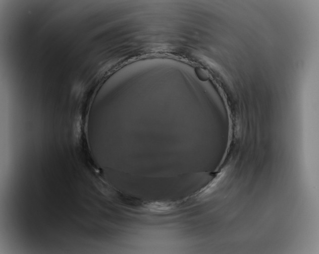 X0000094221161200711161843