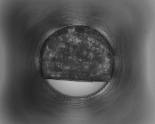 X0000094221163200711161843