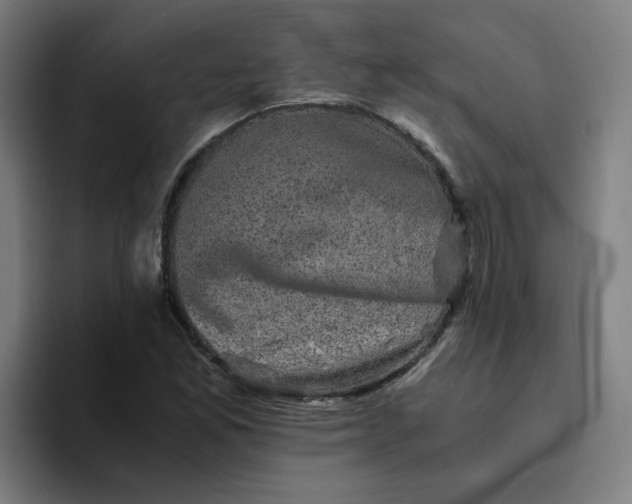 X0000094221165200711161843