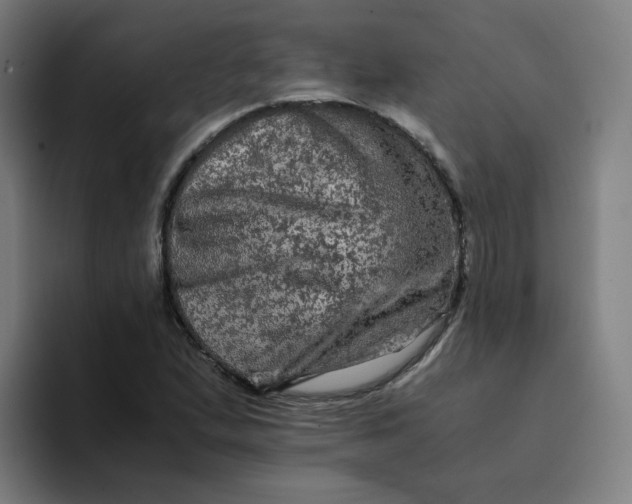 X0000094221167200711161843