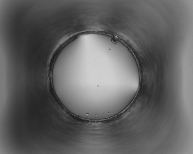 X0000094221168200711161843