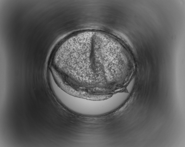 X0000094221172200711161843