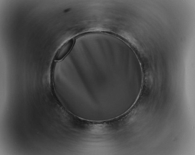 X0000094221173200711161843