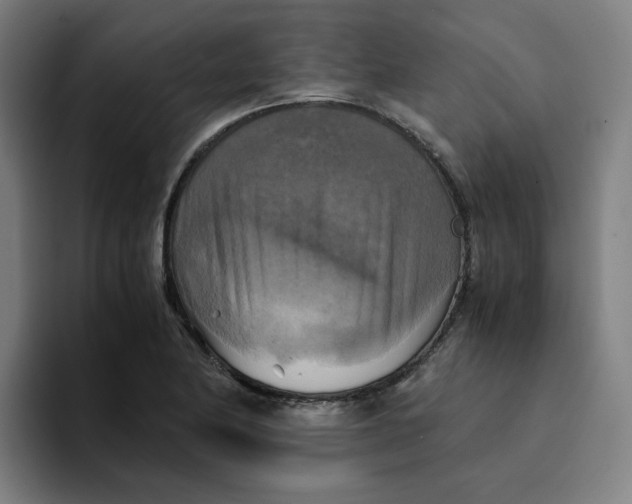 X0000094221174200711161843