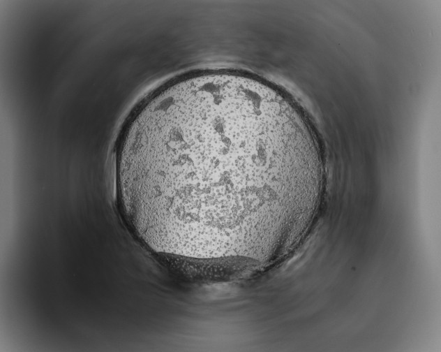 X0000094221175200711161843