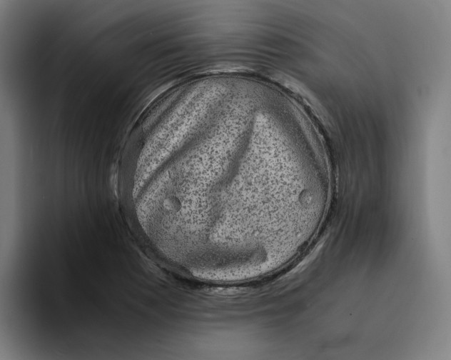 X0000094221177200711161843