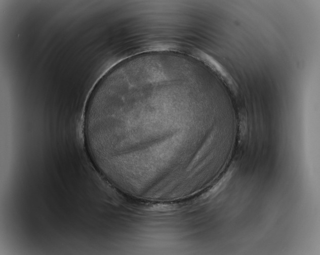 X0000094221178200711161843